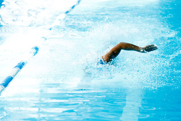 Image of man swimming in style of crawl in swimming pool