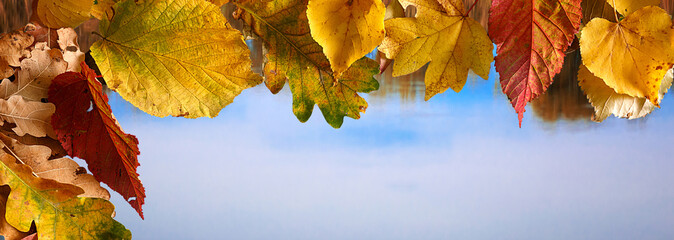 background of autumn colored leaves, panoramic banner
