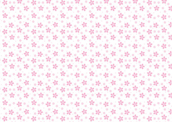 ランダムな桜の背景（白バック）