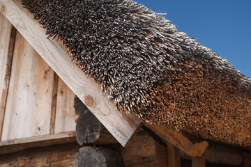Wooden cottage with straw roof.