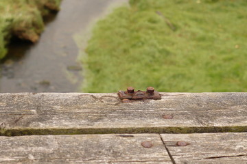 Part of the wooden bridge