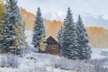 Fall Color and Snow in Colorado
