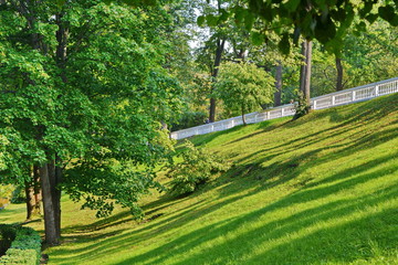 The slope of hill in the city Park with neatly trimmed green grass and trees. White fence over him.