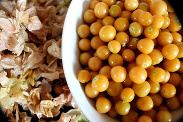 Cerises de terre