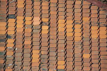The roof texture with red tiles