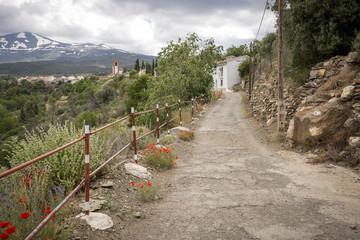 Fototapeta na wymiar a country road entering Jerez del Marquesado town in the spring, province of Granada, Andalusia, Spain
