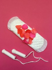 Womens sanitary protection