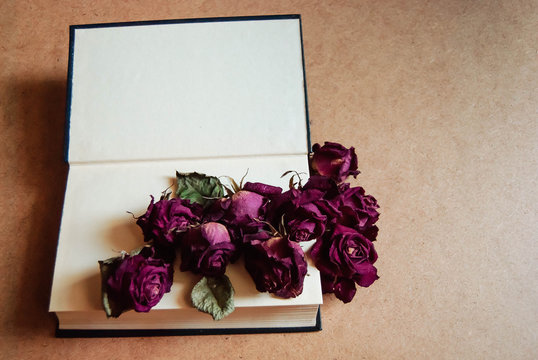  dried roses scattered from the book