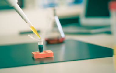 PCR strip in genetic laboratory
