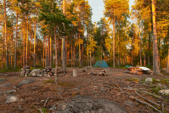 Tent on a forest glade surrounded by pine trees. The trunks of the pines are red from the setting sun. Amazing landscape