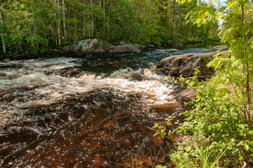 ripple water in a river rapids between forest riversides and transparent water in foreground. Midday sun light