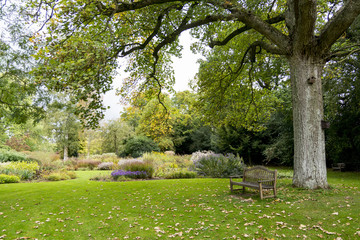 Bressingham Gardens - west of Diss in Norfolk, England - United Kingdom