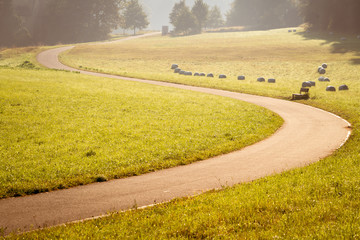 Road Cycling in the meadow