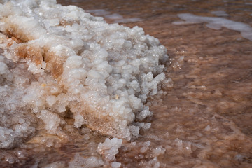 Fototapeta na wymiar Close up of salt crystals forming at the shore of the water in Israel