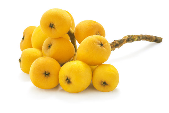 Bunch of japanese loquat or meldar also called Bibasse isolated on white background 