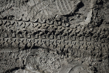 The imprint of a bicycle tire in the mud is large-scale systematic and the traces of shoes on the...