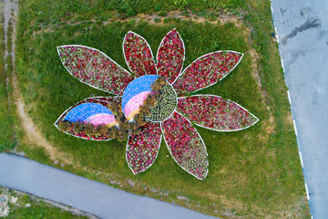 Flower shaped like a butterfly sitting on a flower.