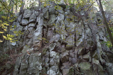 Basaltbruch, Kurort Hartha, Tharandter Wald