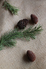 dark pine cones with a branch of needles on rough village fabric