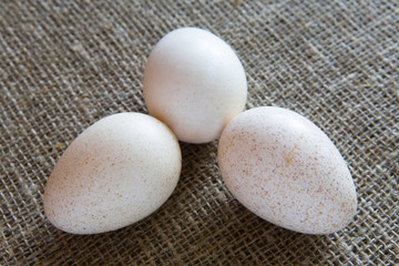 Three eggs of turkey lie on the textured fabric.