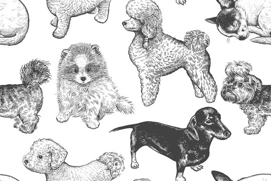Seamless pattern. Cute little puppies. Hand-made drawing of dogs. © marinavorona