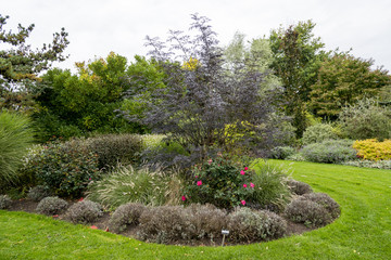 Obraz premium Bressingham Gardens - west of Diss in Norfolk, England - United Kingdom