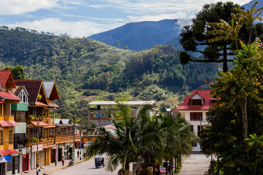 Selva Peruana