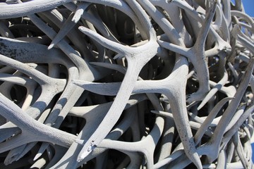 Antler stack