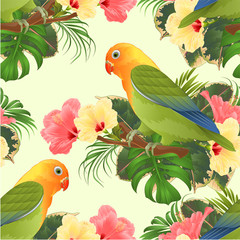 Seamless texture Parrot lovebird Agapornis tropical bird  standing on a branch and hibiscus vintage vector illustration editable hand draw