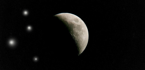 Luna © Steve Fossiant