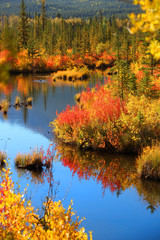 Scenic Vermilion lakes landscape in Banff national park