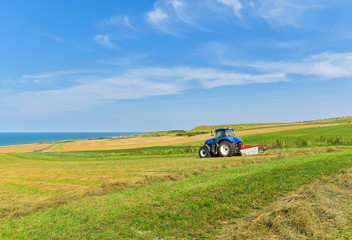 travail d'agriculteur (le fanage)