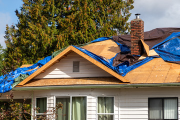 Pylwood showing under tarps on roof during repair