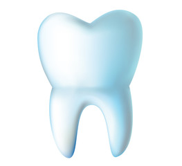 Isolated Human Tooth