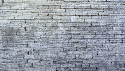 Old white brick wall with green grass sprouts. Texture. Background