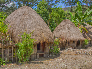 Fototapeta na wymiar Baliem Valley, West Papua