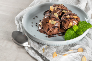 Plate of chocolate ice cream