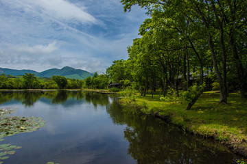 Beautiful Pond in Japan