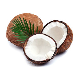 Coconuts on a white background