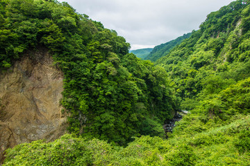 Fototapeta na wymiar Cliff in Japanese mountain