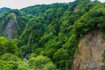 Cliff in Japanese mountain