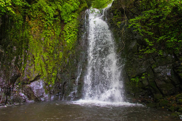 Fototapeta na wymiar WaterFall in Japanese forest 