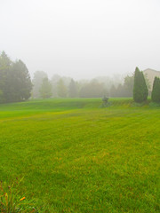 Early autumn landscape of a public park on a sunny day. Wooden foot walkway through wetlands and bench for relaxation. 