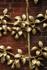 Golden Leaves and Pears