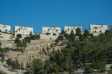 Fototapeta na wymiar Close up of Jerusalem apartments shot between the trees from the road level