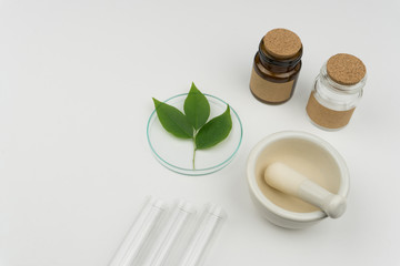 herbal medicine research concept. the organic green leaves in Petri dish with a mortar and pestle, three test tubes and two bottles on the white table in laboratory.