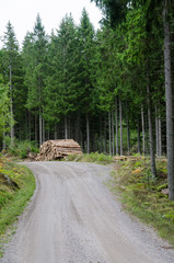 Wood pile by gravel roadside