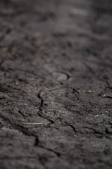 Cracks on dry soil