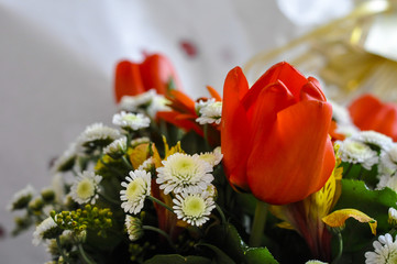 Bouqet with red tulip