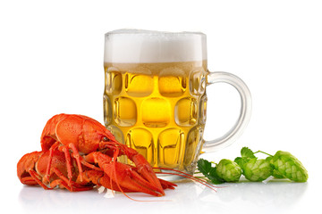 Glass of beer with boiled crayfishes and green hop isolated